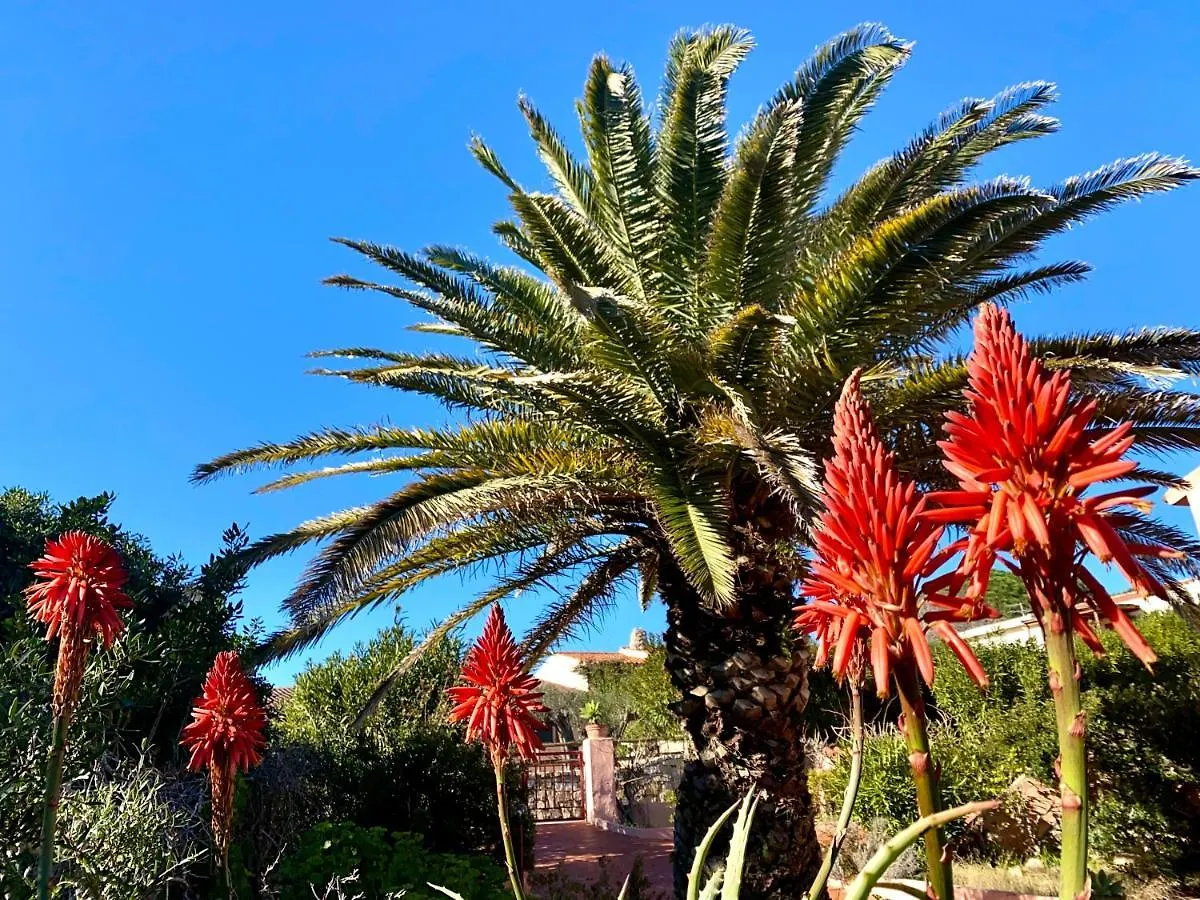 Villa Ginestra La Maddalena  0*, La Maddalena (Sassari)