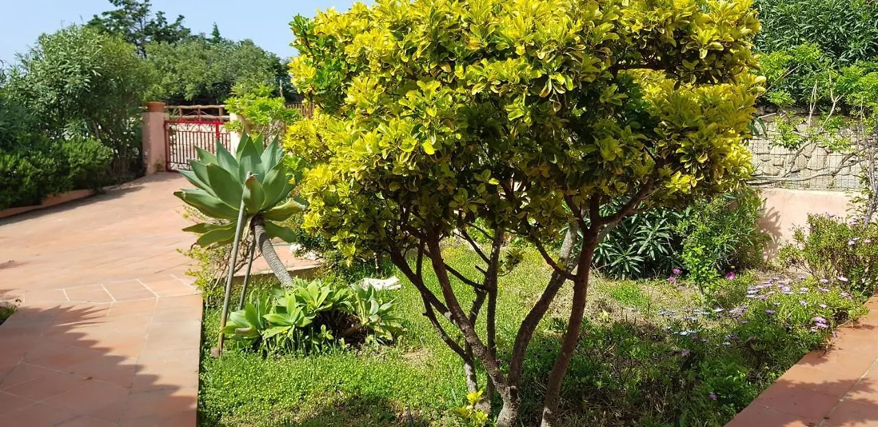 Villa Ginestra La Maddalena  0*, La Maddalena (Sassari) Italy