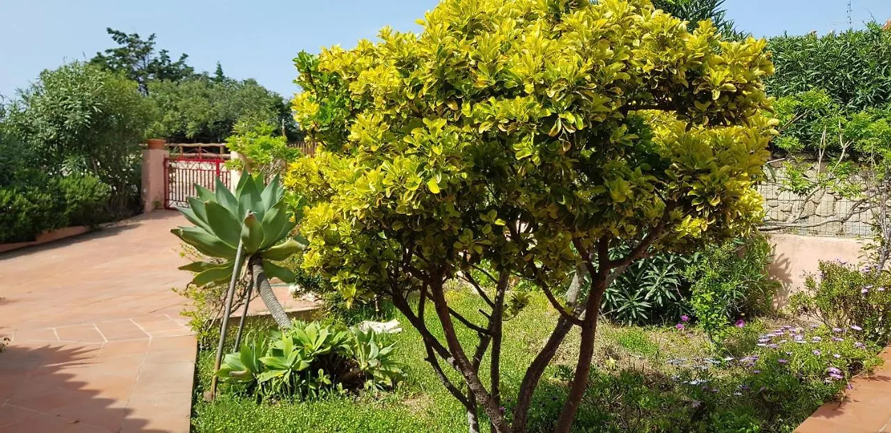 Villa Ginestra La Maddalena  Apartment La Maddalena (Sassari)